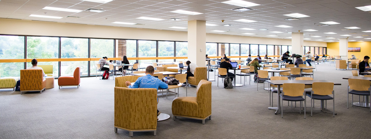 Students studying at the CLC library