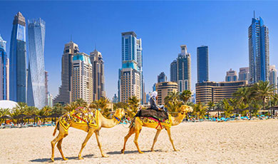 People riding camels with the U.A.E. cityscape in the background