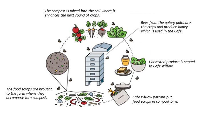 Illustration of how CLC Campus Farm's sustainable farming practice